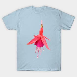 Fuchsia &#39;Pink Fizz&#39; T-Shirt